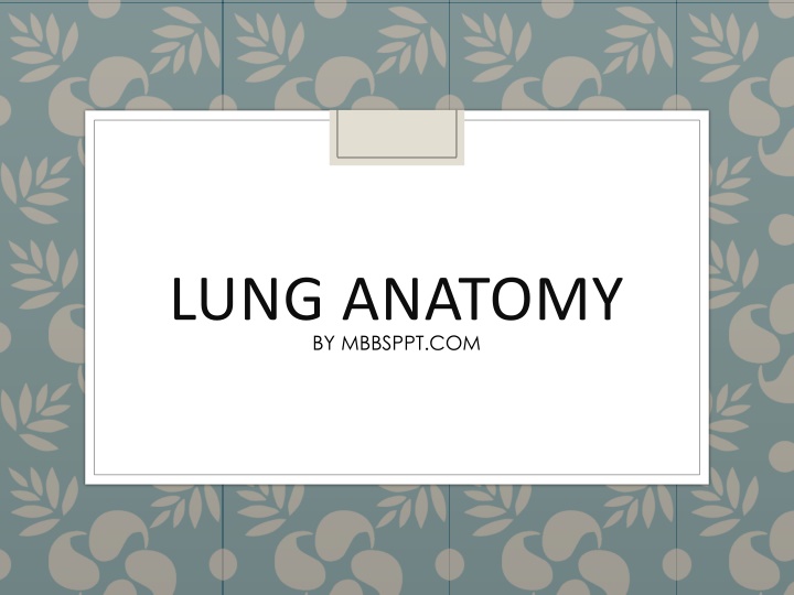 Overview of Lung Anatomy and Features