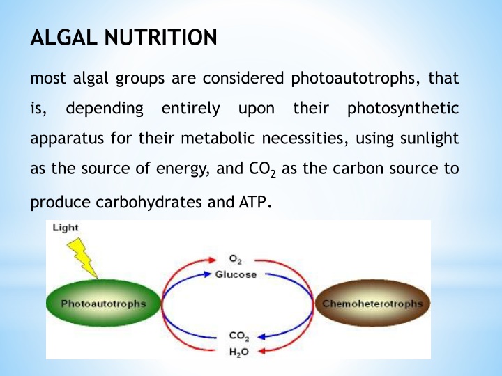algal nutrition n.w