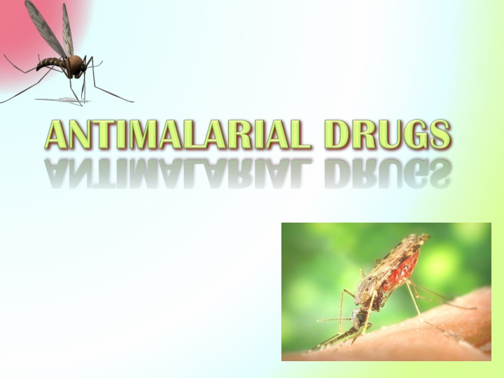 file anopheles albimanus mosquito jpg n.w