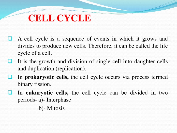 cell cycle n.w