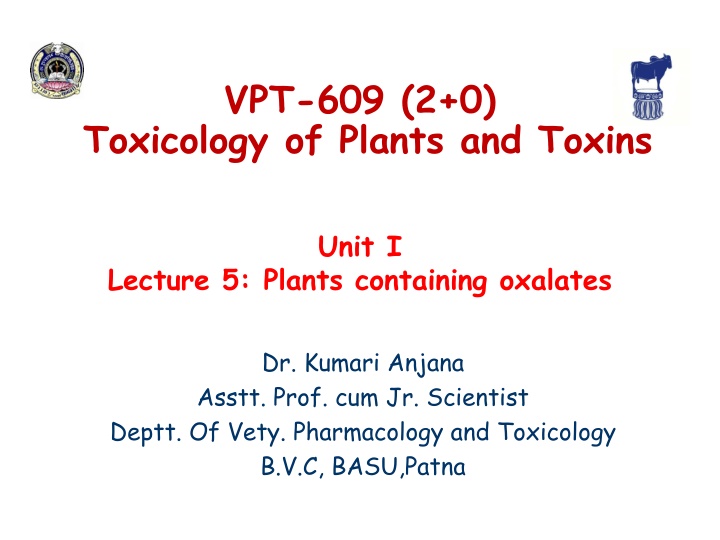 vpt 609 2 0 n.w