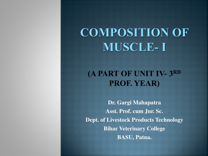 Muscle Composition and Protein Structure Overview