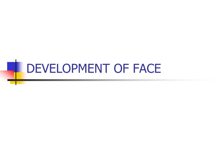 development of face n.w