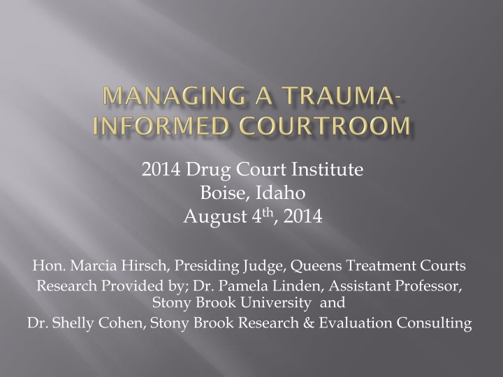 2014 Drug Court Institute: Research and Evaluation in Queens Treatment Courts