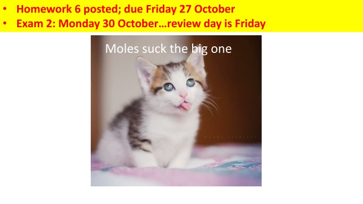 homework 6 posted due friday 27 october exam n.w