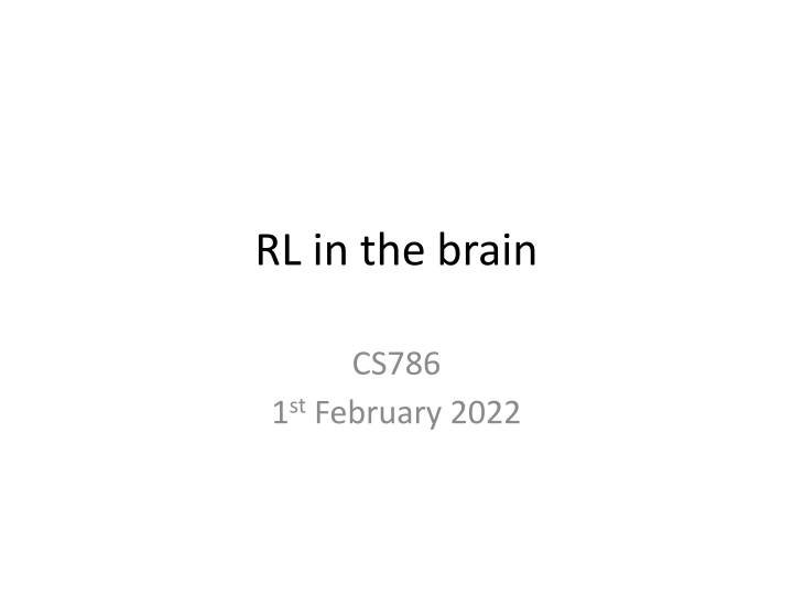 rl in the brain n.w