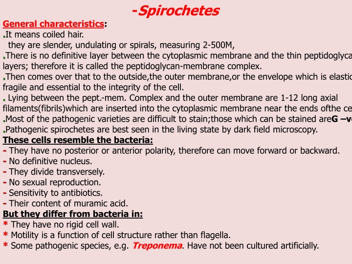 spirochetes n.w