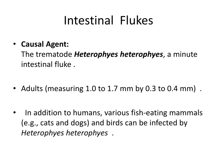 intestinal flukes n.w
