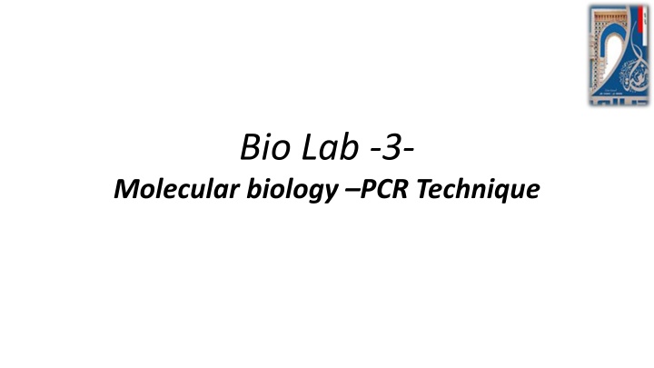 bio lab 3 n.w
