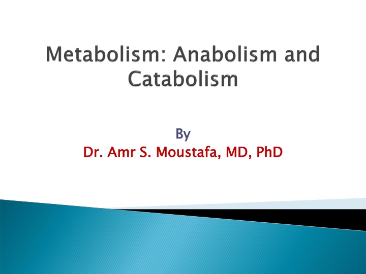 slide1 n.w