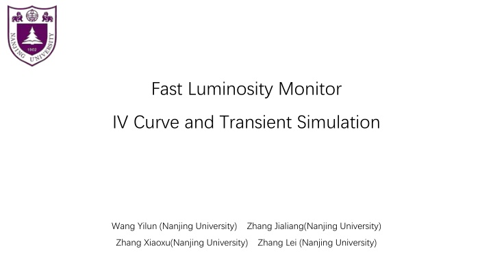 fast luminosity monitor n.w