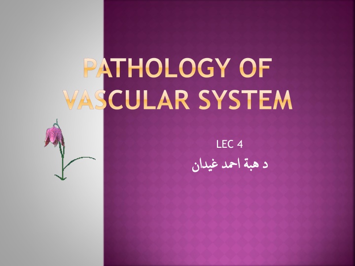 Vascular Disorders: Raynaud's & Hemangiomas