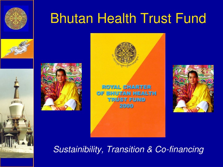 Bhutan Health Trust Fund Sustainability and Financing Overview