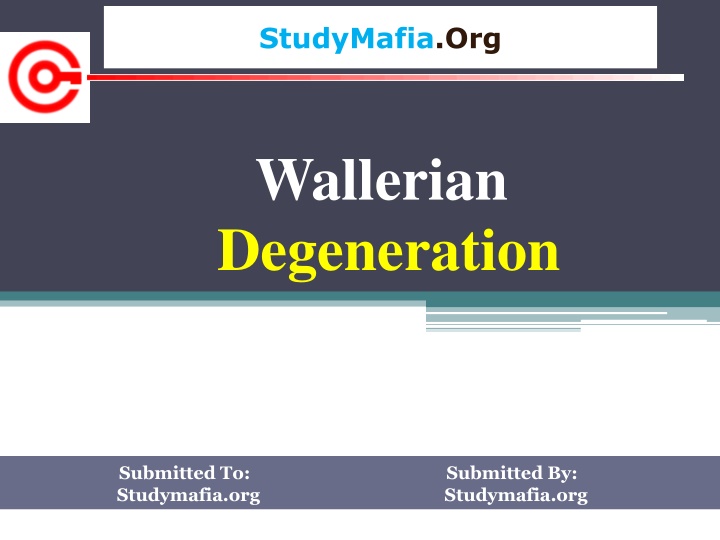 studymafia org n.w