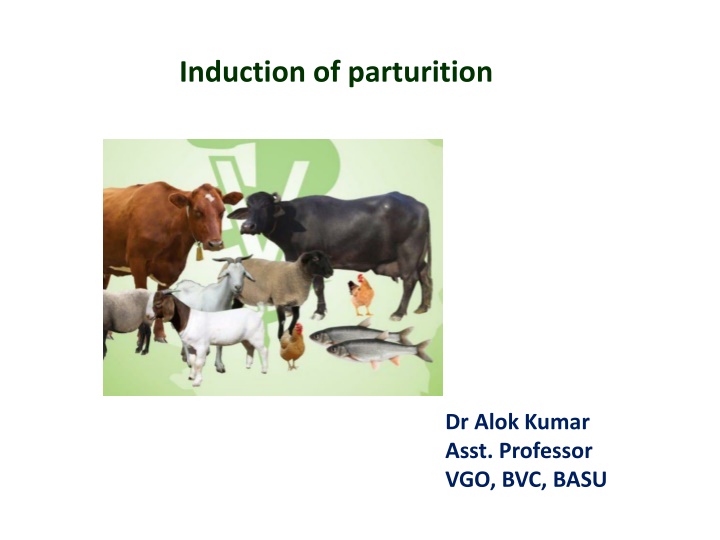 induction of parturition n.w