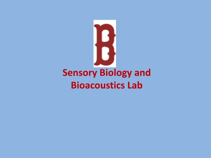 Bioacoustics Lab and Wicked Awesome Science