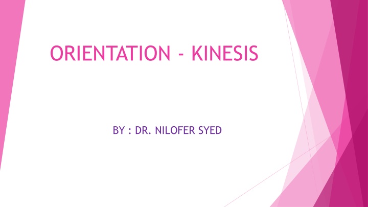 orientation kinesis n.w