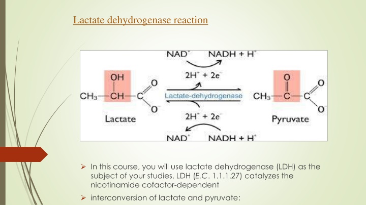 lactate dehydrogenase reaction n.w
