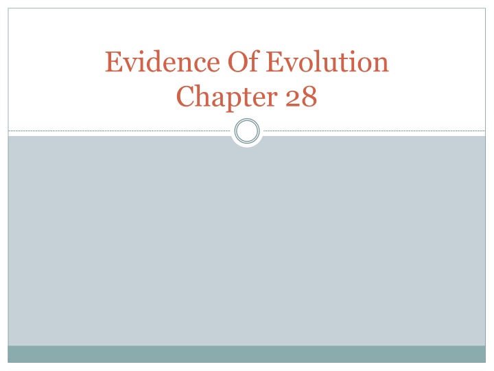 evidence of evolution chapter 28 n.w