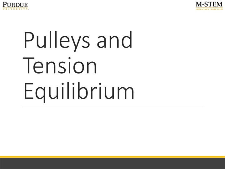 pulleys and tension equilibrium n.w