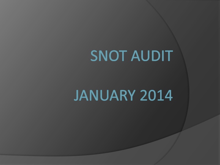 snot audit n.w