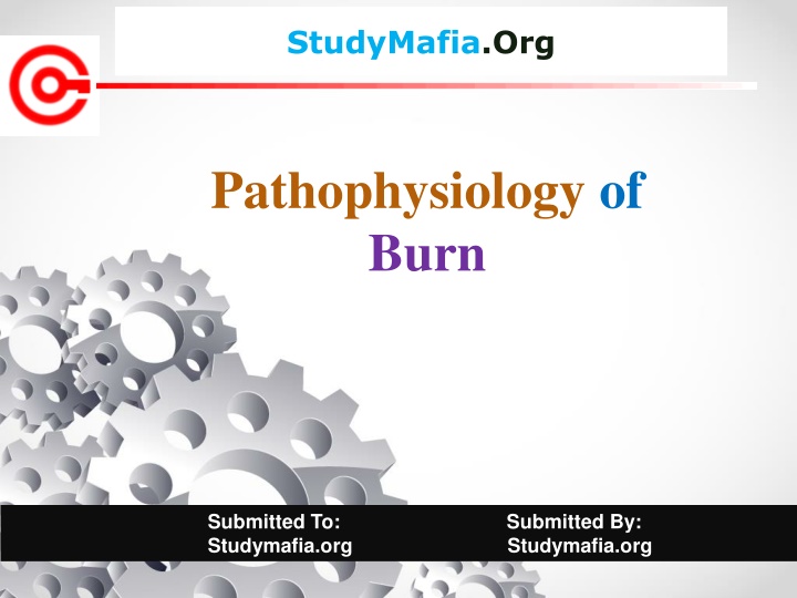 studymafia org n.w