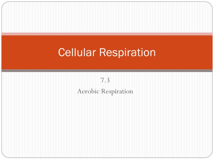 cellular respiration n.w