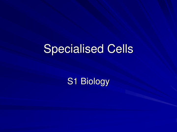 specialised cells n.w