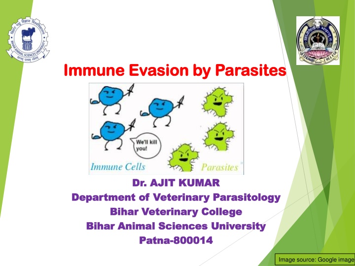 bihar animal sciences university n.w