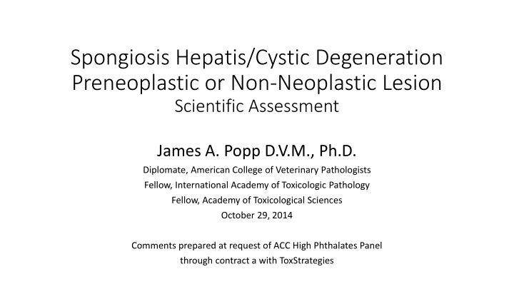 Spongiosis Hepatis/Cystic Degeneration Assessment