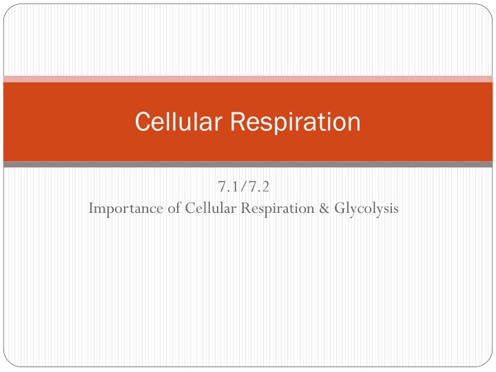 cellular respiration n.w