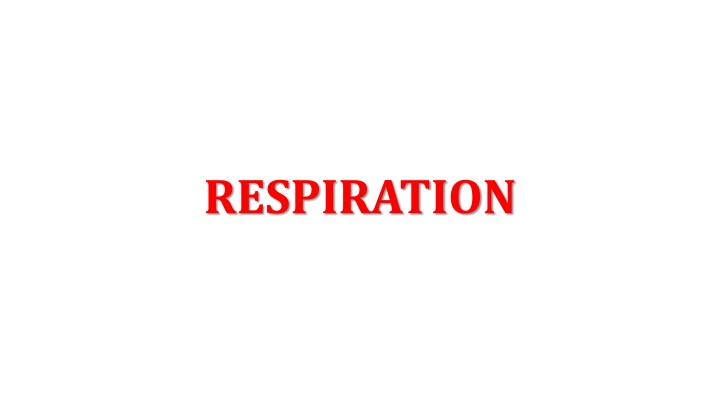respiration n.w