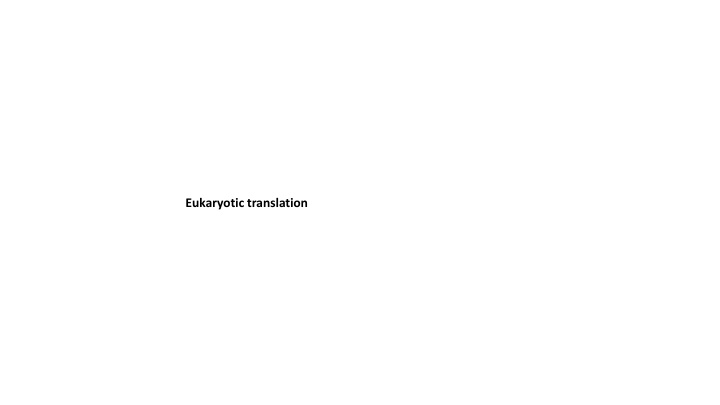 eukaryotic translation n.w