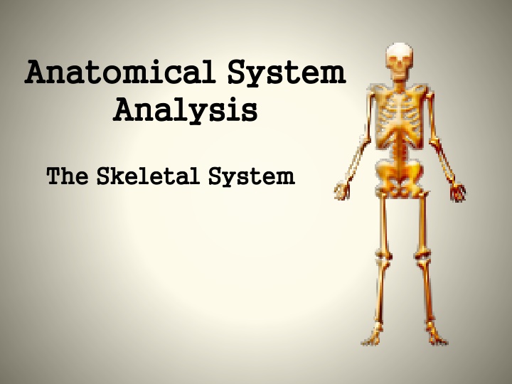 anatomical system anatomical system analysis n.w
