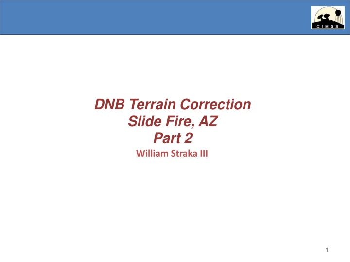 dnb terrain correction slide fire az part n.w