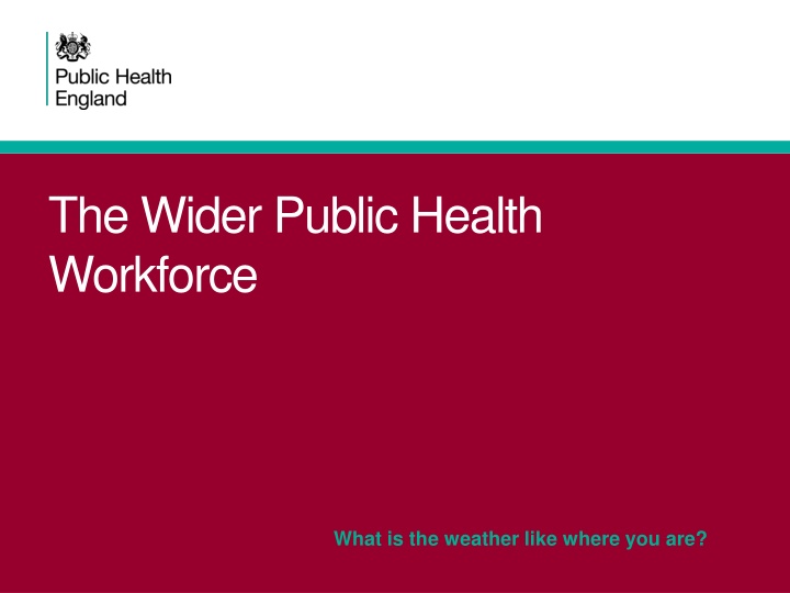The Wider Public Health Workforce Insights