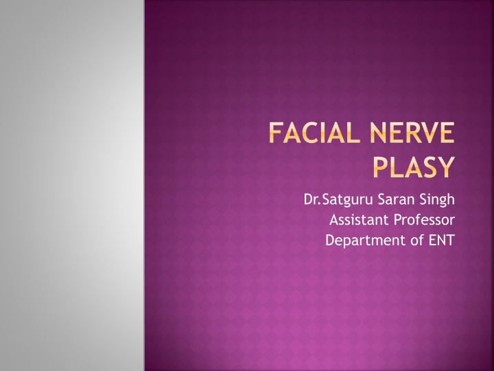 facial nerve n.w