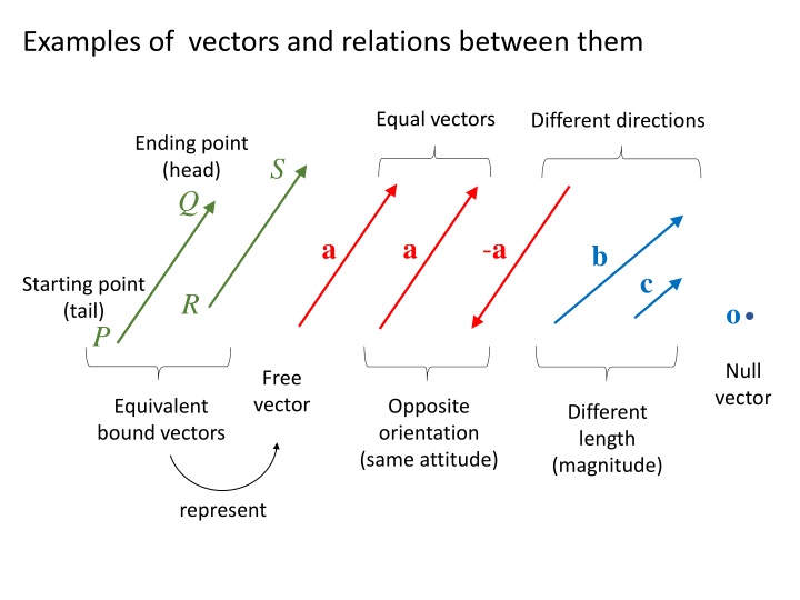 examples of vectors and relations between them n.w