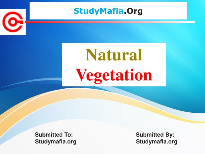 studymafia org n.w