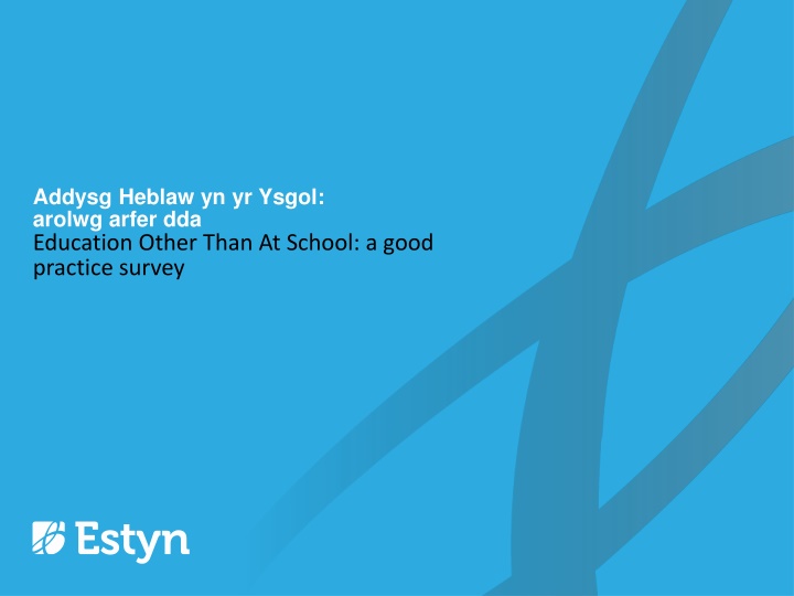 Education Other Than At School: Good Practice Survey