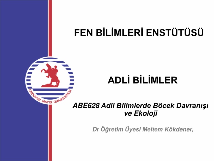 fen b l mler enst t s n.w
