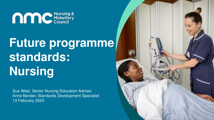future programme standards nursing n.w