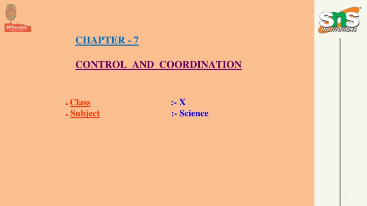 chapter 7 n.w
