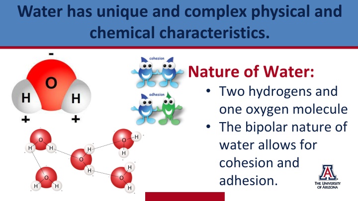 water has unique and complex physical n.w