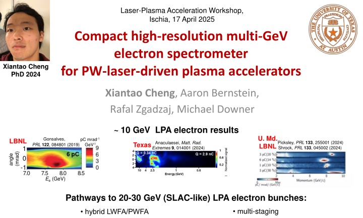 laser plasma acceleration workshop ischia n.w