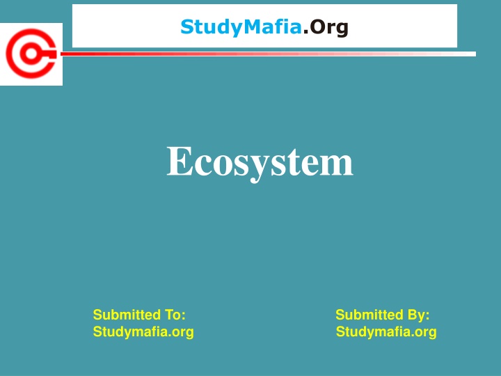 studymafia org n.w