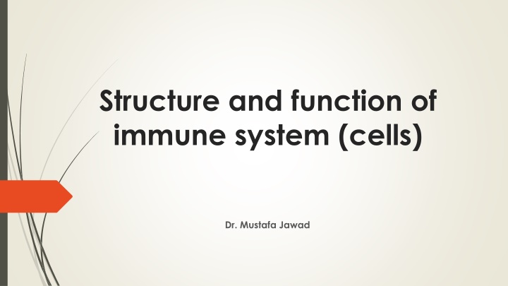 structure and function of immune system cells n.w
