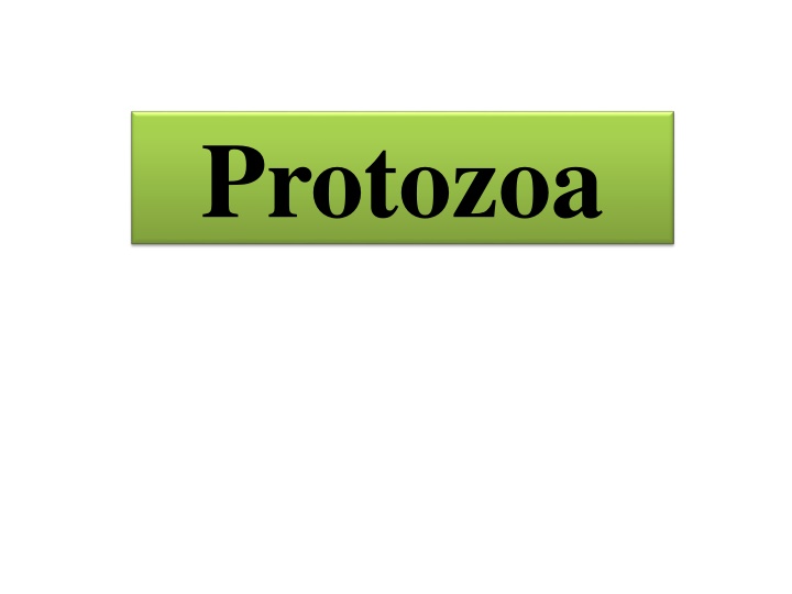protozoa n.w