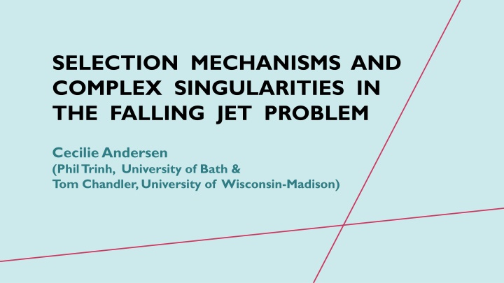 selection mechanisms and complex singularities n.w