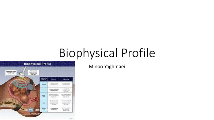 biophysical profile n.w